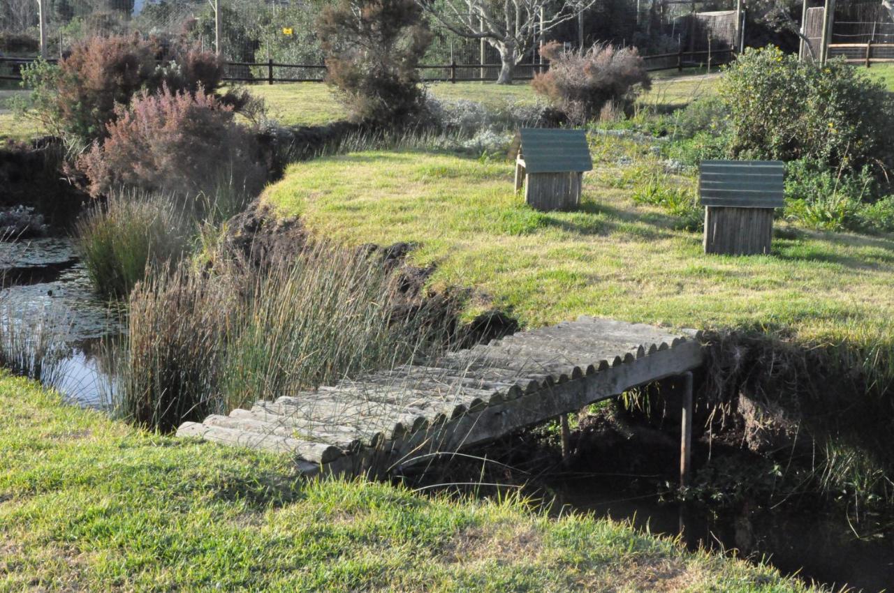 Tenikwa Wildlife Centre & Spa Plettenberg Bay Exterior foto