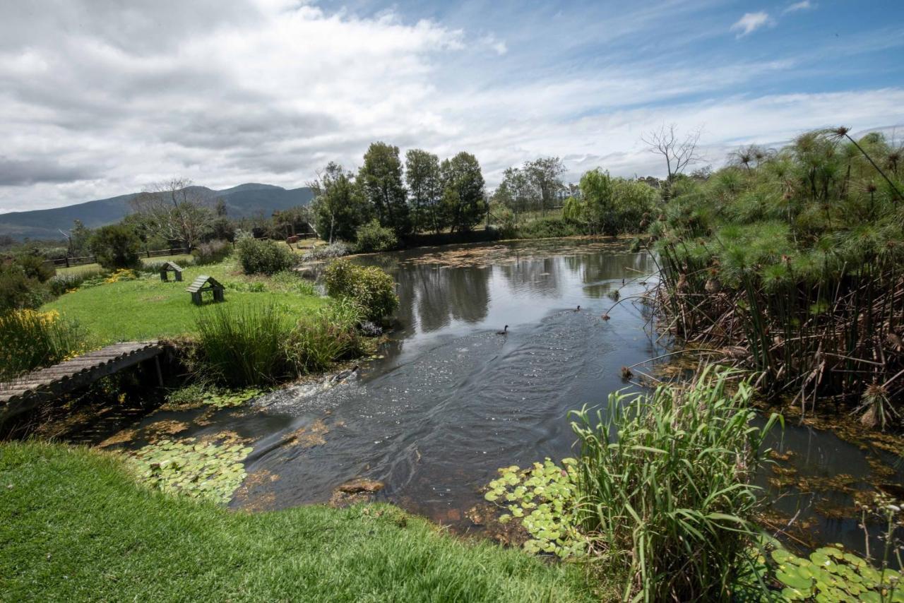 Tenikwa Wildlife Centre & Spa Plettenberg Bay Exterior foto