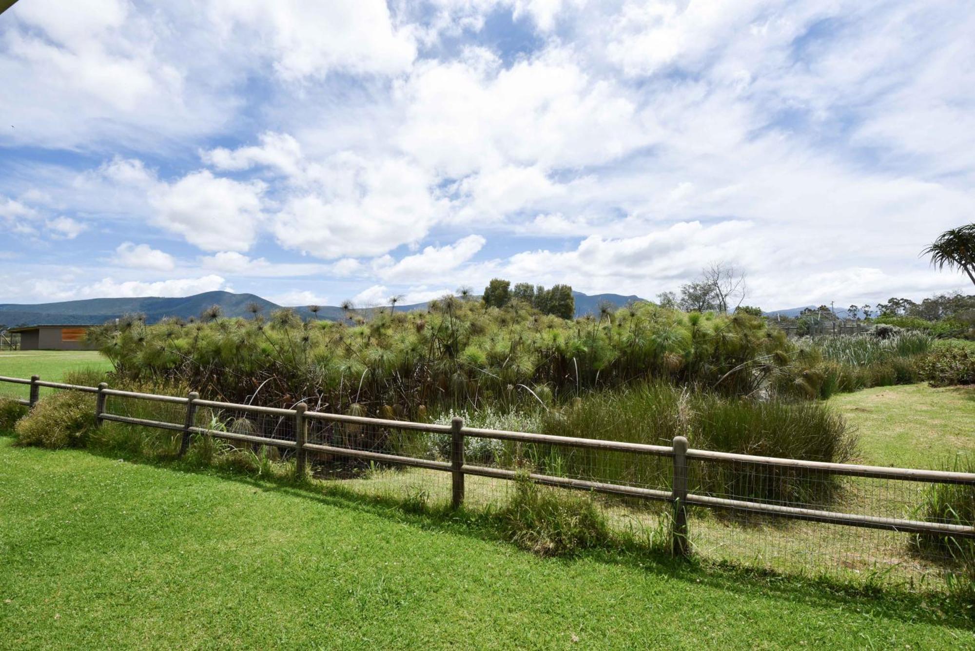 Tenikwa Wildlife Centre & Spa Plettenberg Bay Exterior foto